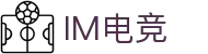 IM(股份有限公司)电竞-电子竞技平台